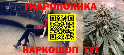 винт Будённовск