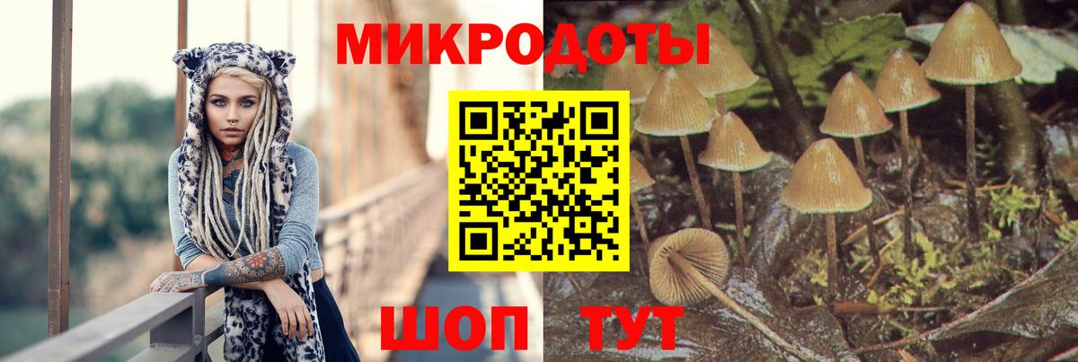 Галлюциногенные грибы прущие грибы  Вход с VPN  Сызрань 